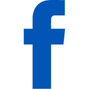 Social Facebook F Logo 2935c