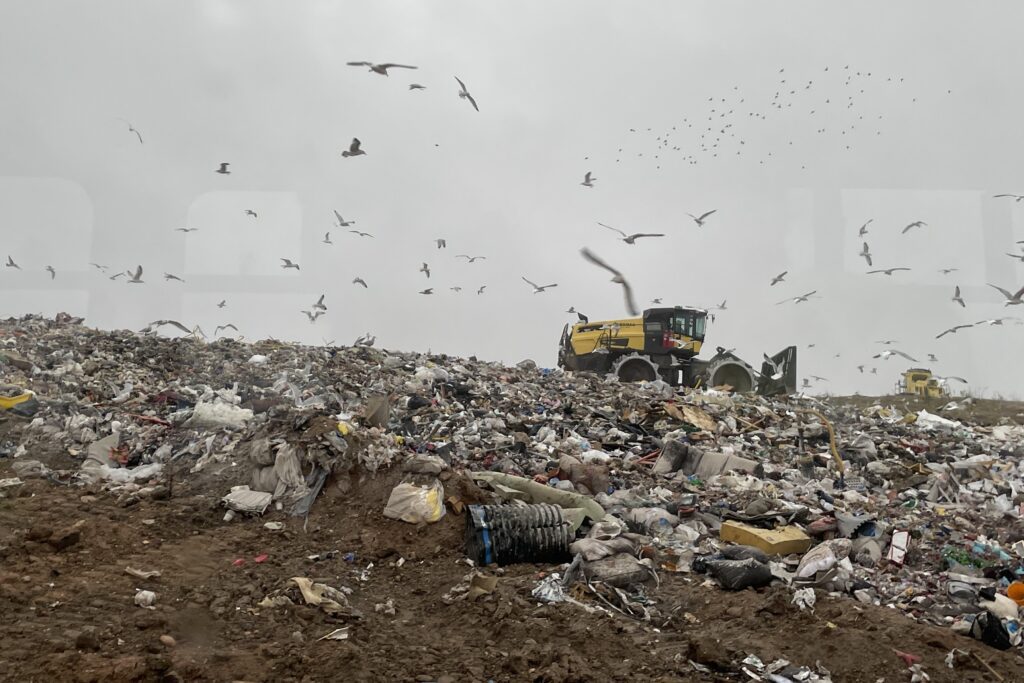 The Dane County Landfill in action, with a bulldozer moving trash and seagulls scavenging overhead.